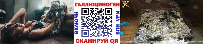 купить  цена  Иланский  Галлюциногенные грибы мицелий 